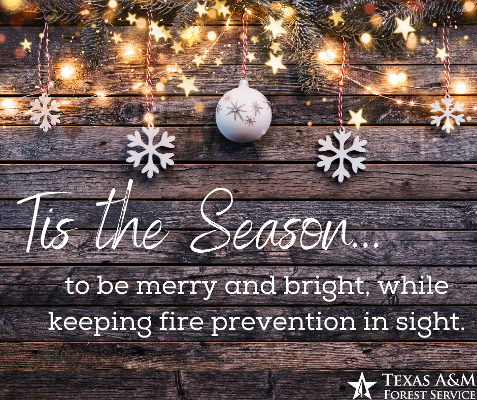 WinterWildfirePrevention_Tis The Season WinterWildfirePrevention_Tis The Season